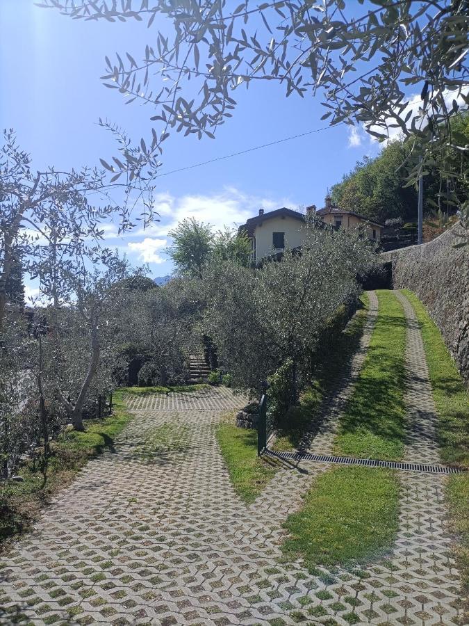Апартаменты Casa Delle Olive 1 Oliveto Lario Экстерьер фото